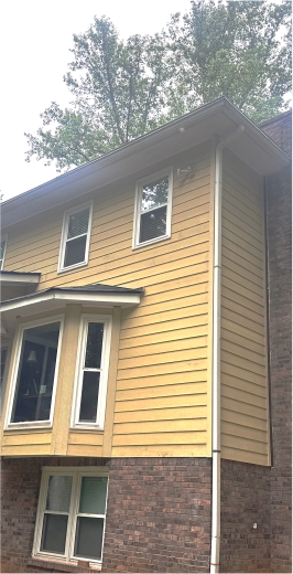 section1-image2