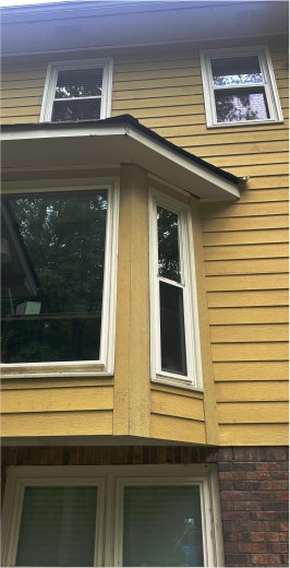 section1-image4